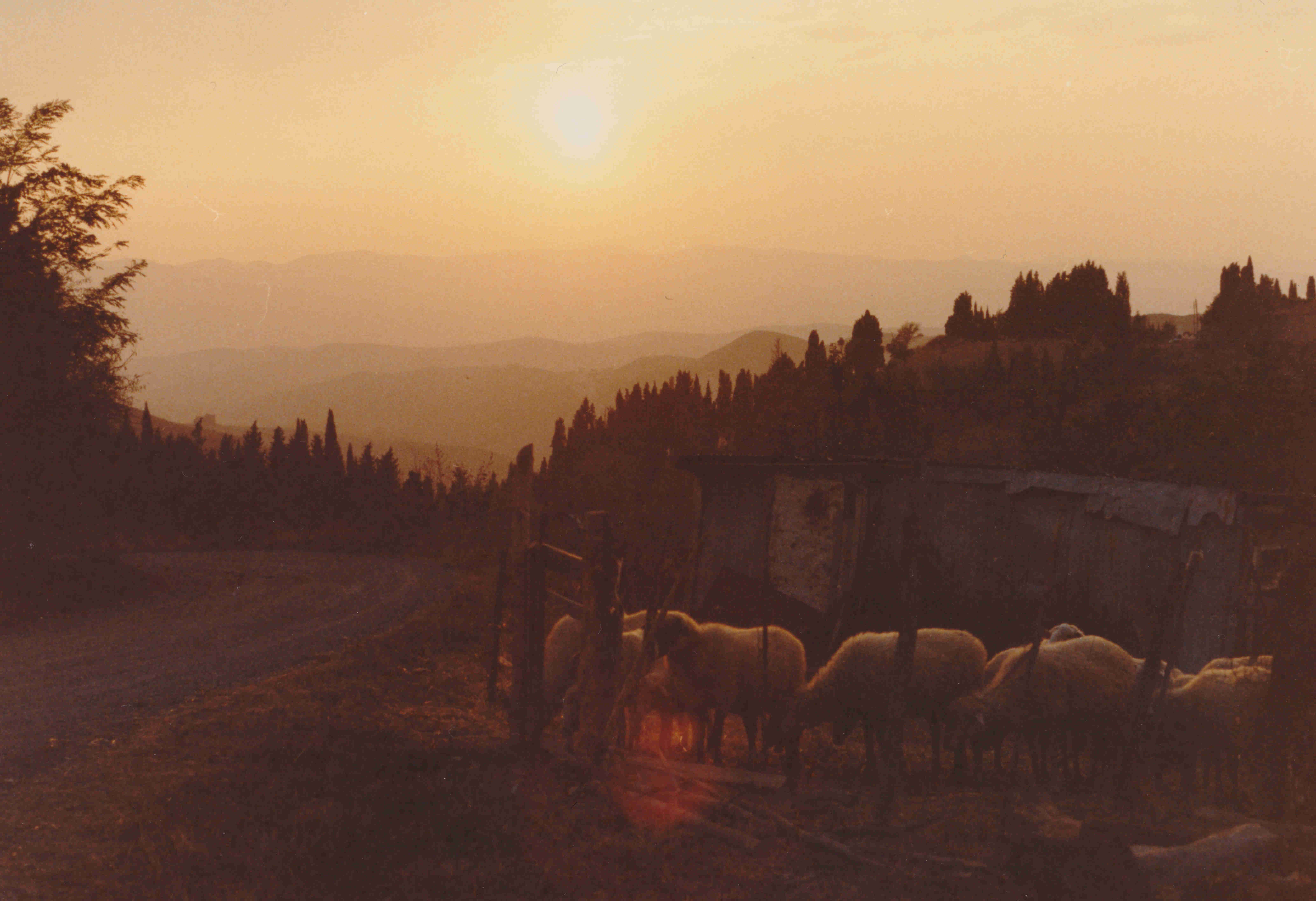 Toscana 1988