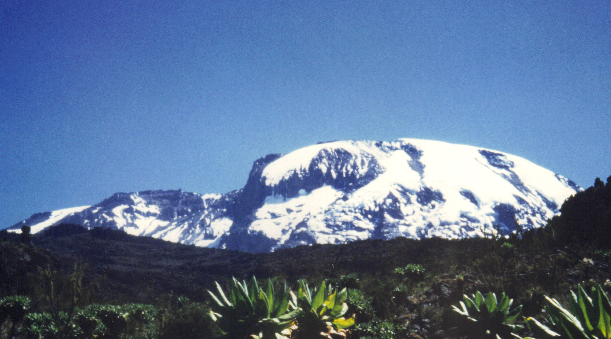 Kilimanjaro 1993