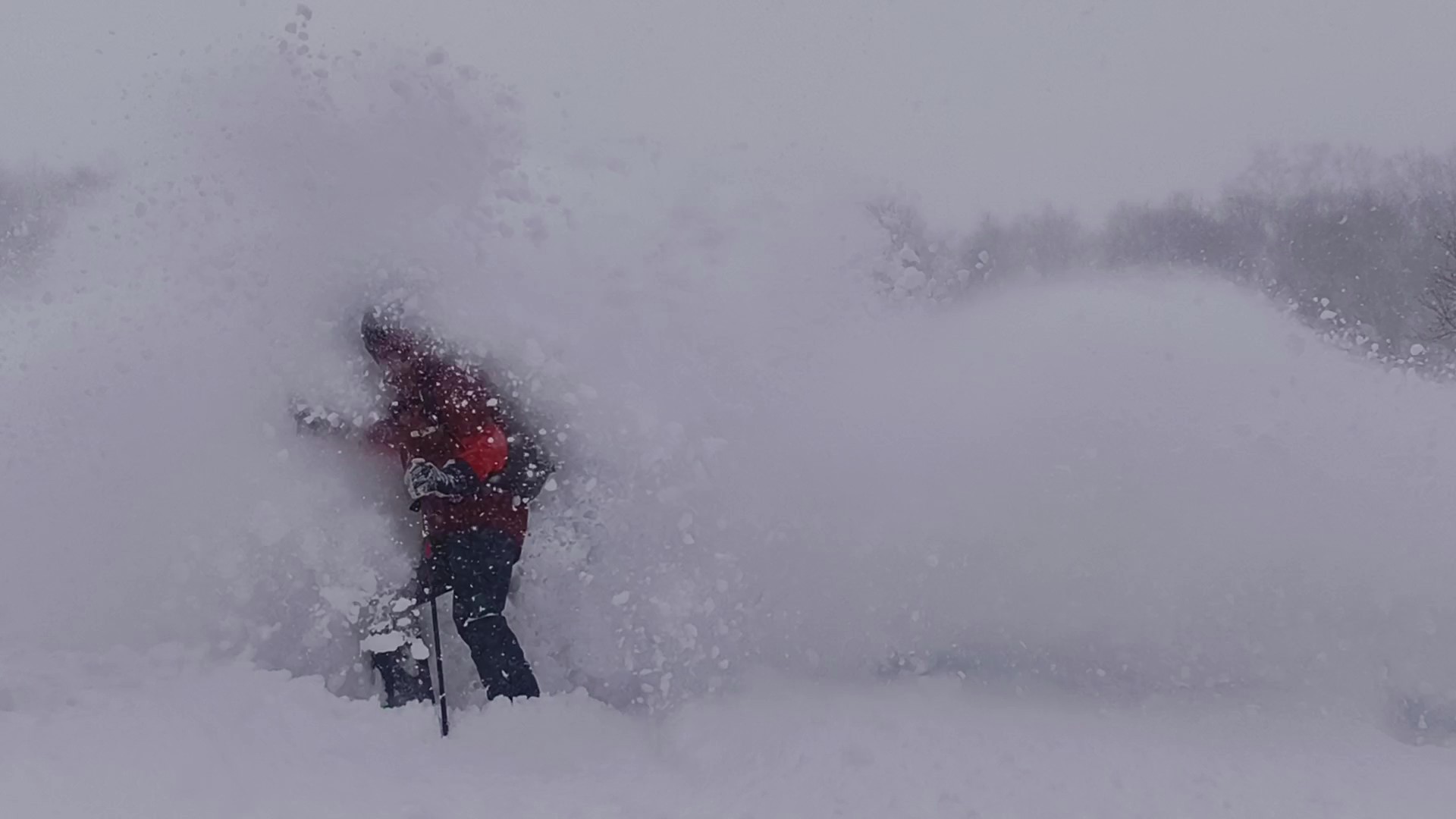 Hokkaido 2o25