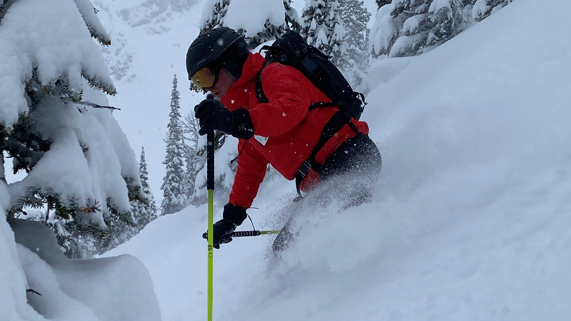 Pure Canadian Skiing 2o26