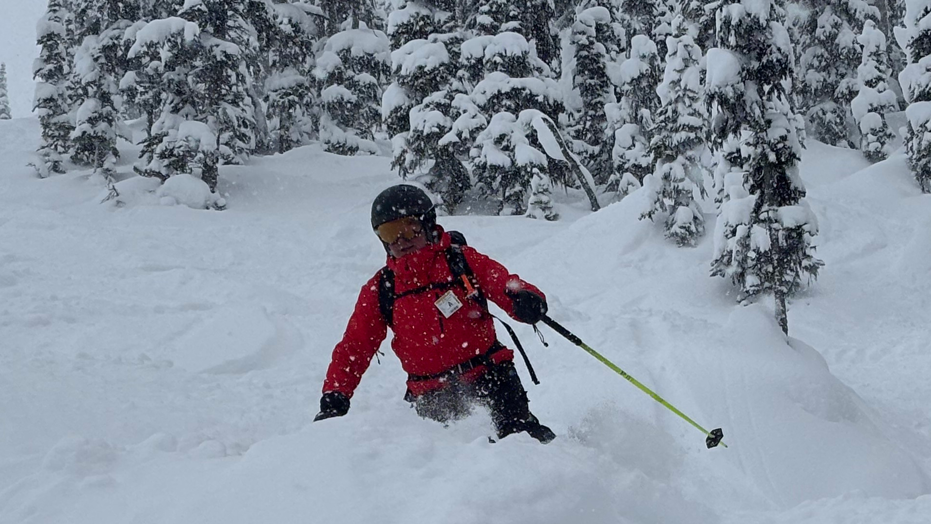 Pure Canadian Skiing 2o26