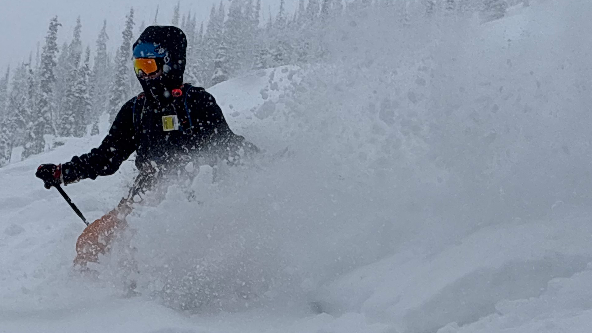 Pure Canadian Skiing 2o26